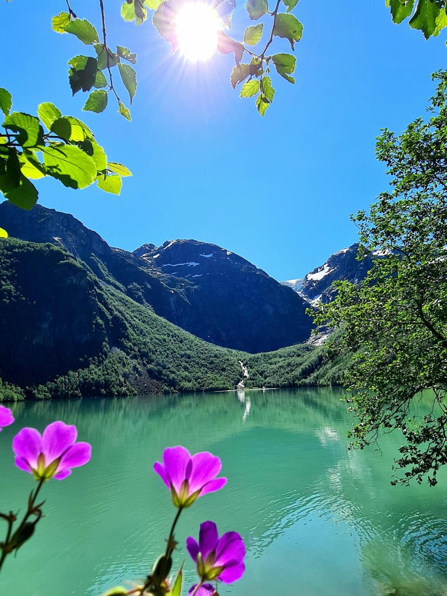 Rosendal Fjordhotel Екстер'єр фото